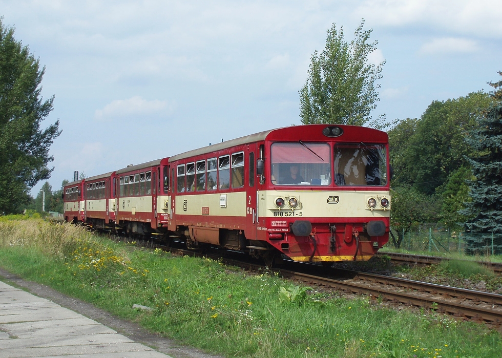 810 521-5