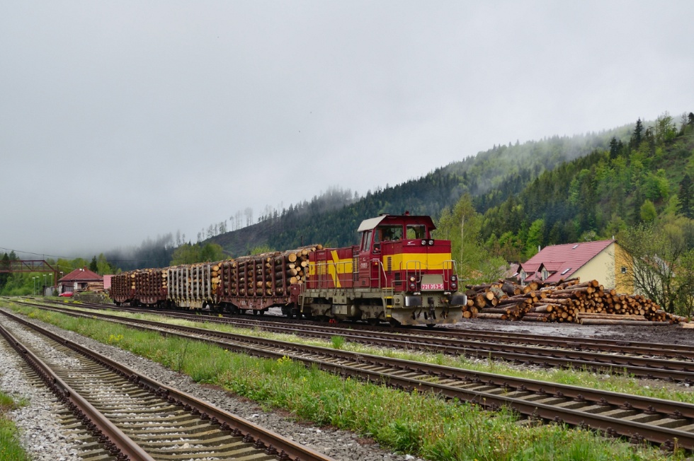 731 053-5