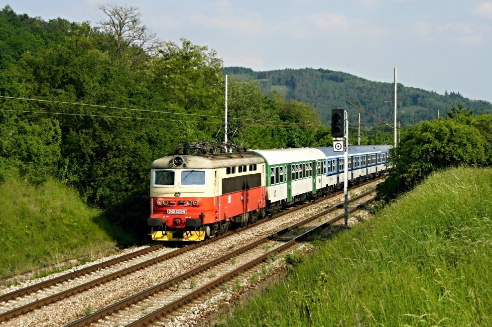 242 223-6