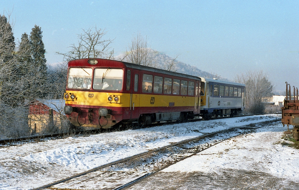 810 501-7