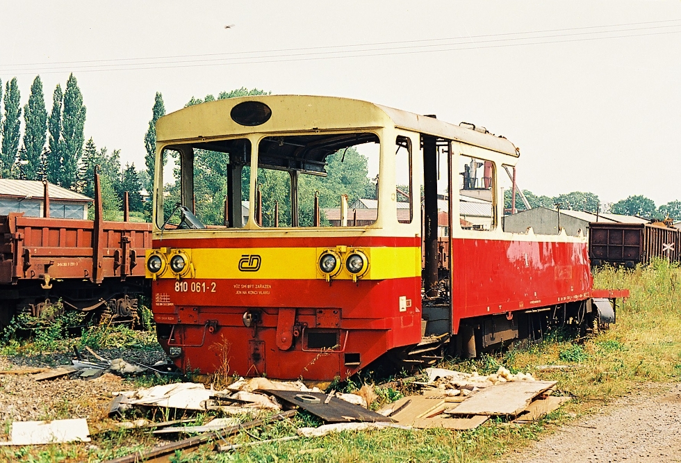 810 061-5