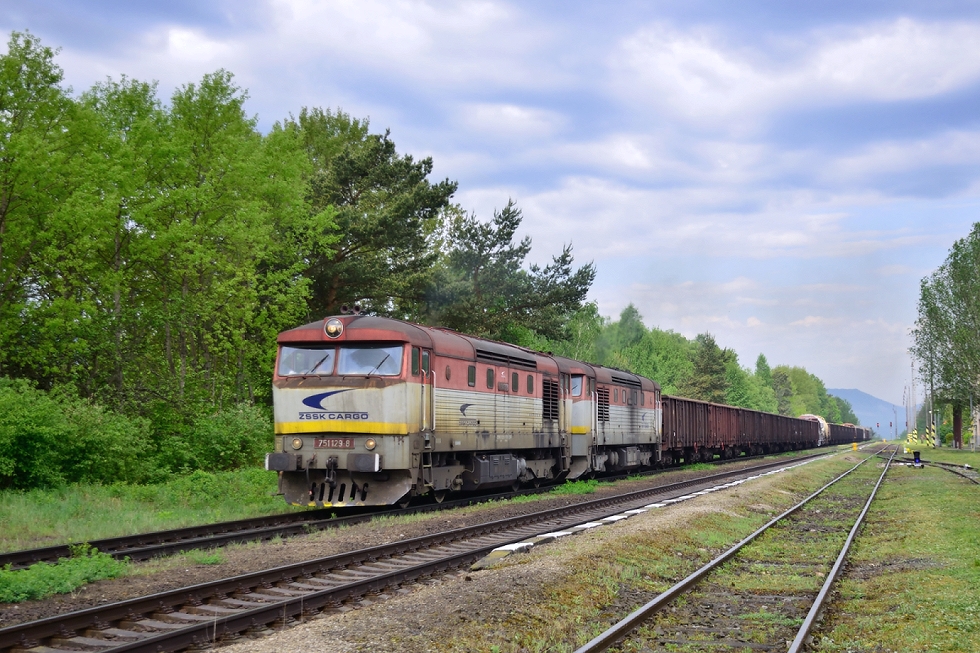 751 129-8