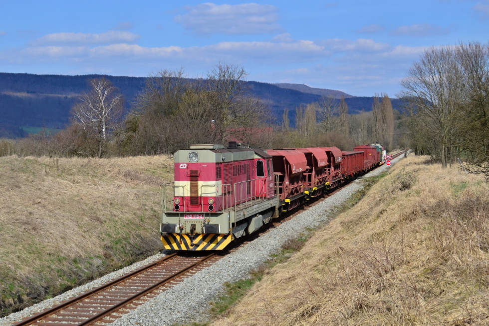 742 113-4