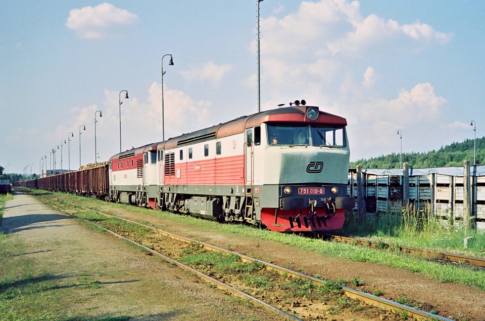 751 010-0