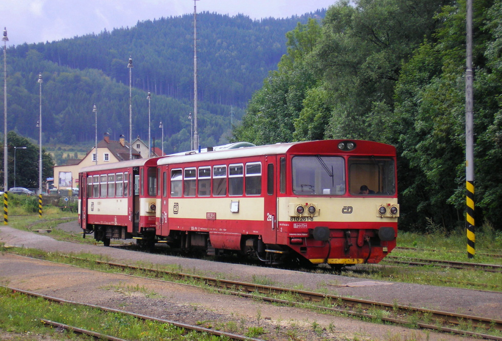 810 261-8