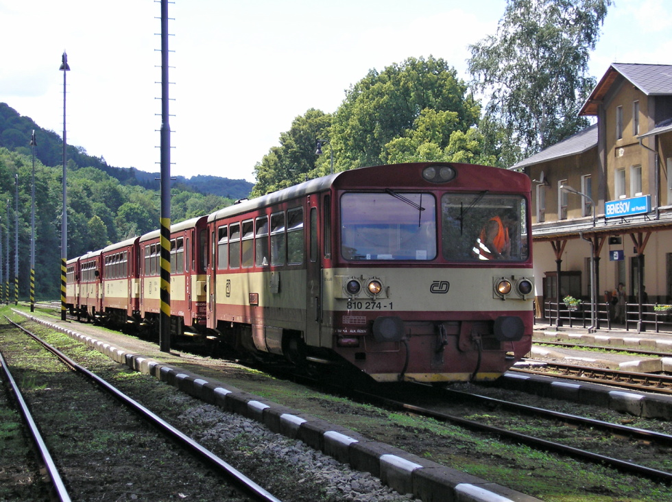 810 274-1