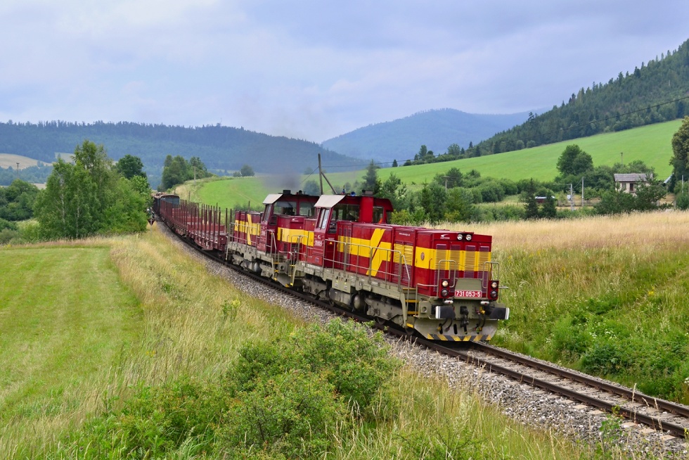 731 053-5