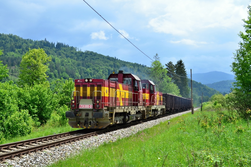 731 055-0