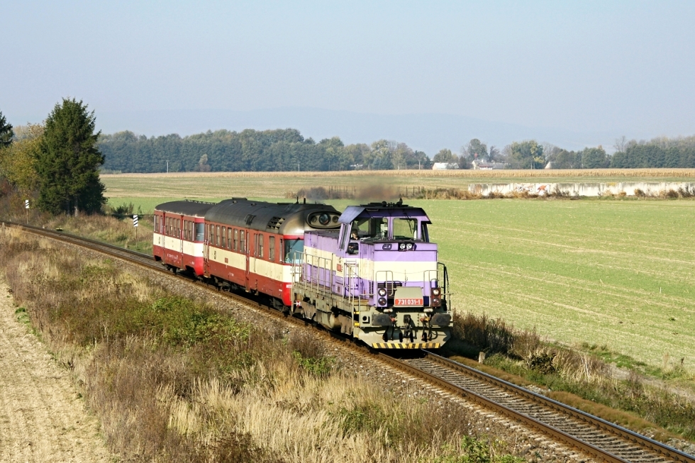 731 031-1