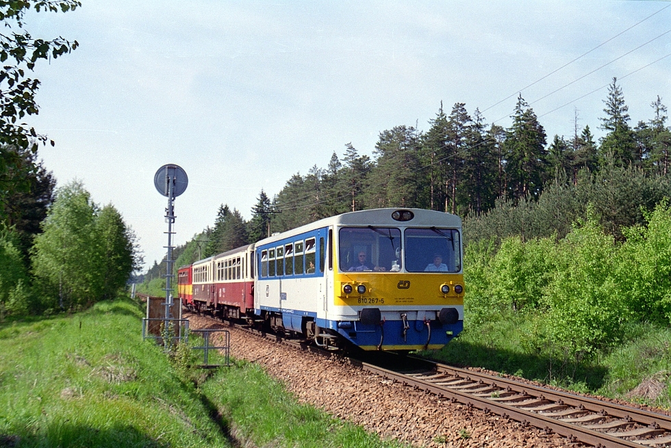 810 267-5