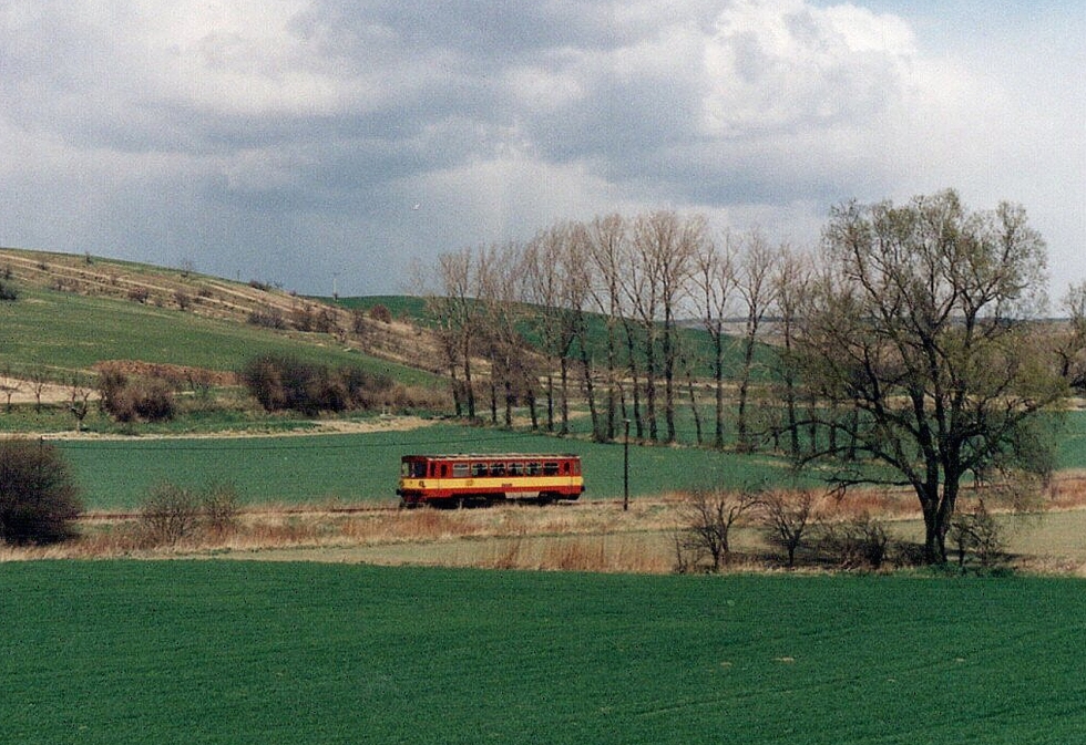 810 185-9