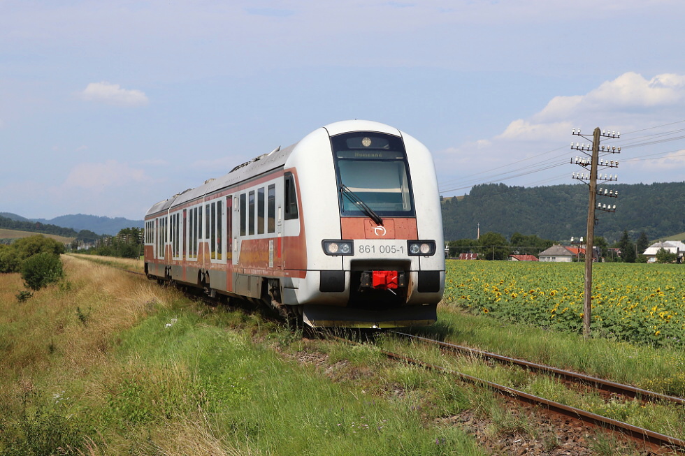 861 005-1