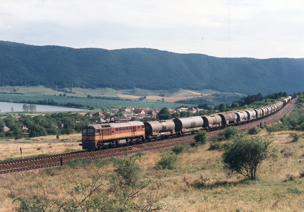 781 318-1