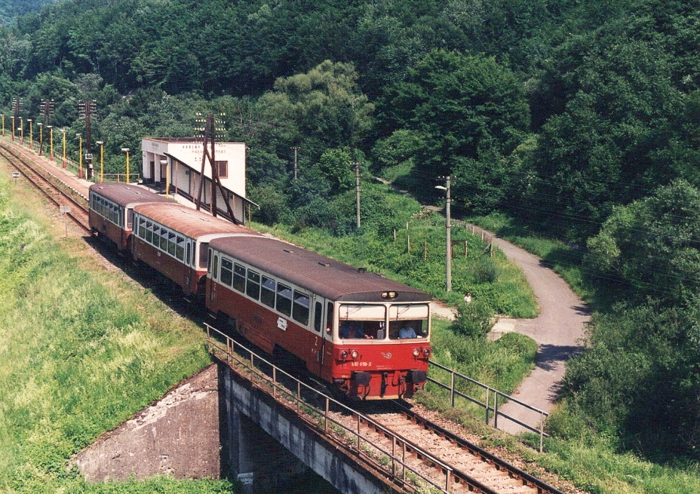 810 650-2