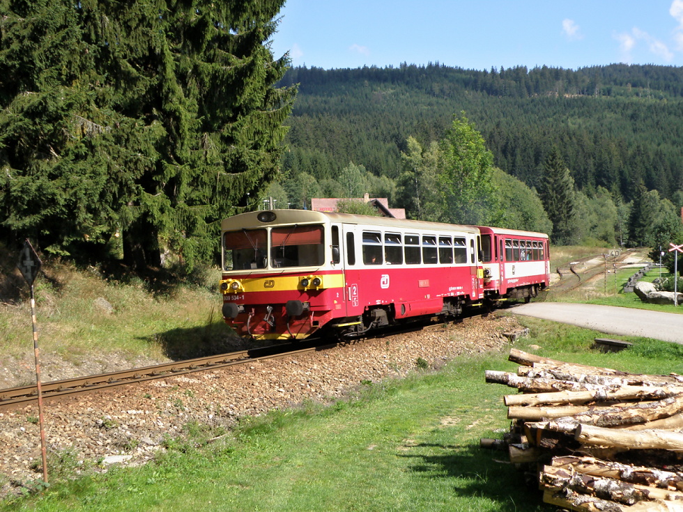 809 534-1
