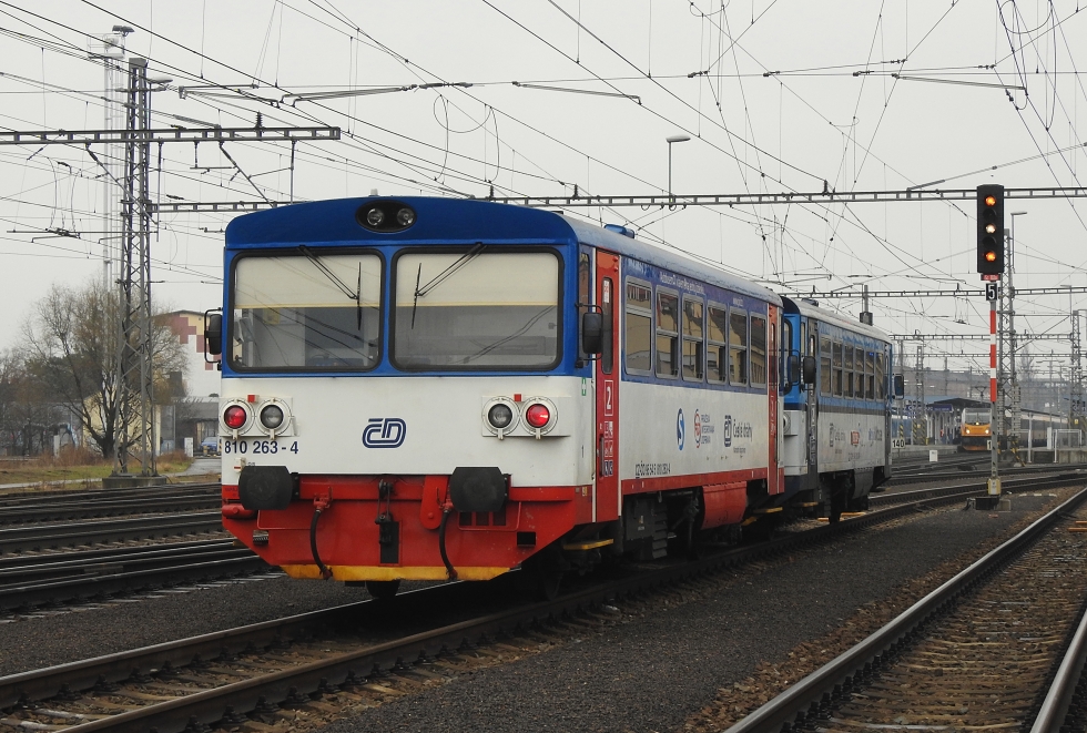810 263-4