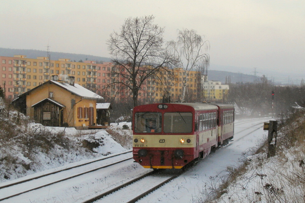 810 231-1