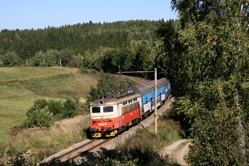 242 217-8