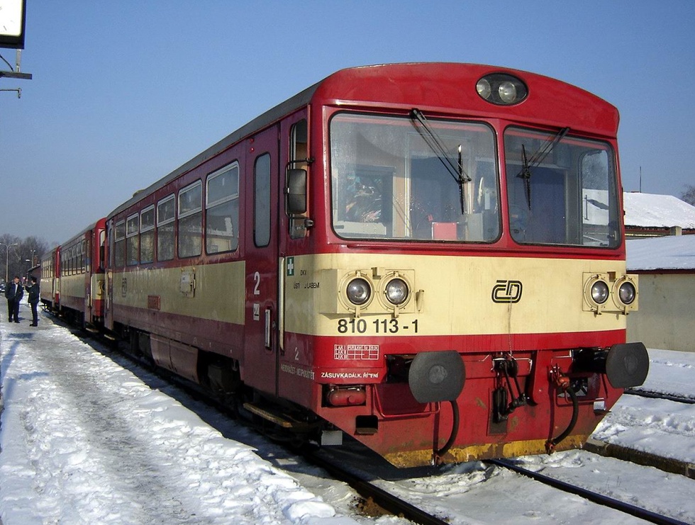 810 113-1