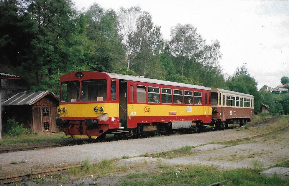 810 244-4