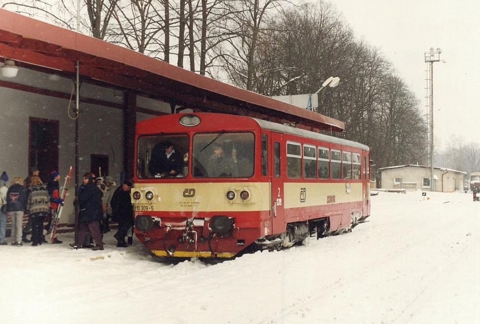 810 309-5