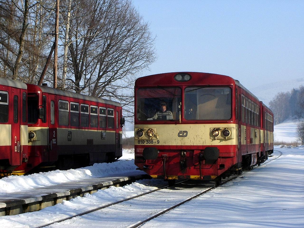 810 388-9