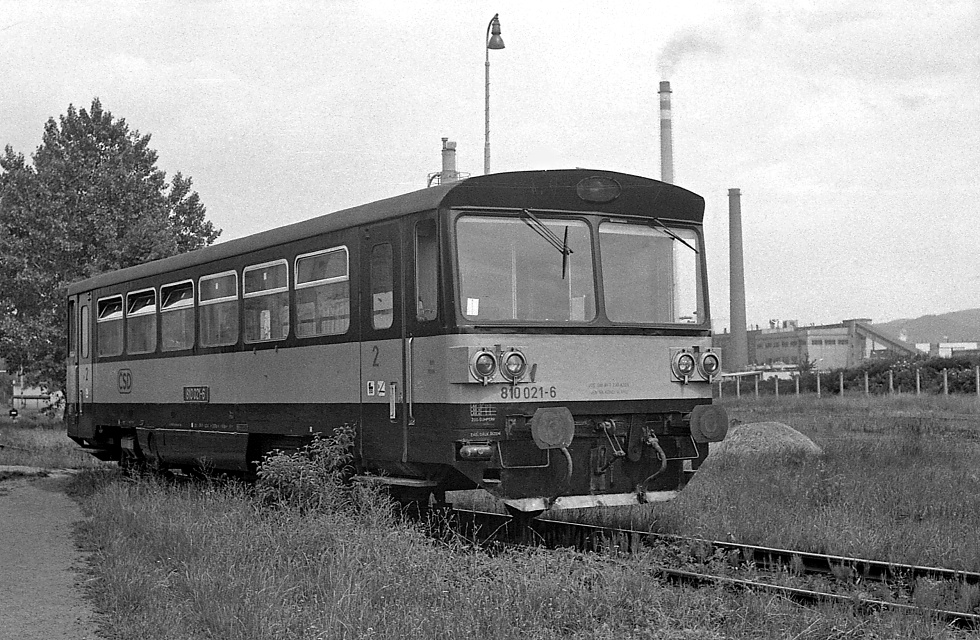 810 021-6
