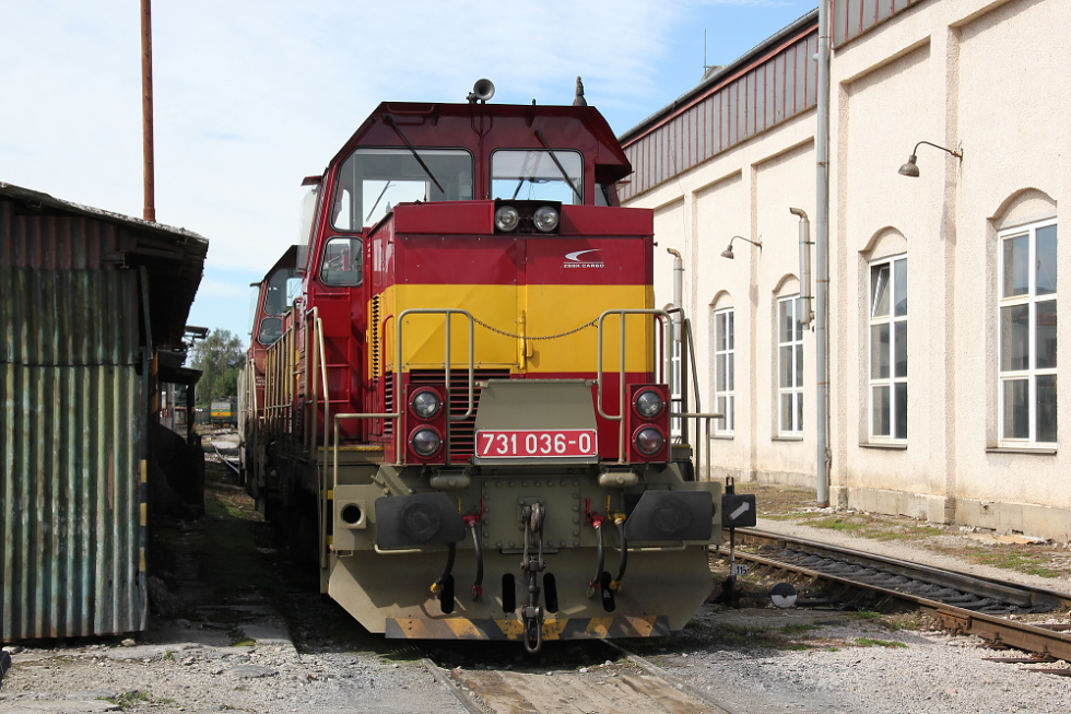 731 036-0
