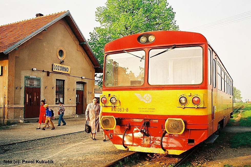 810 063-8
