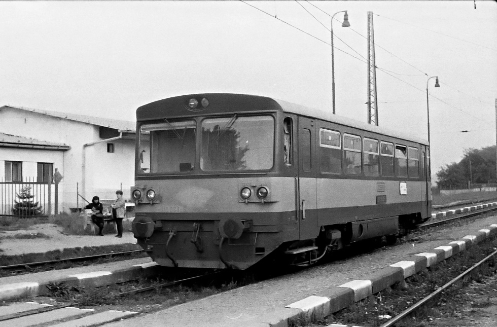 810 064-6