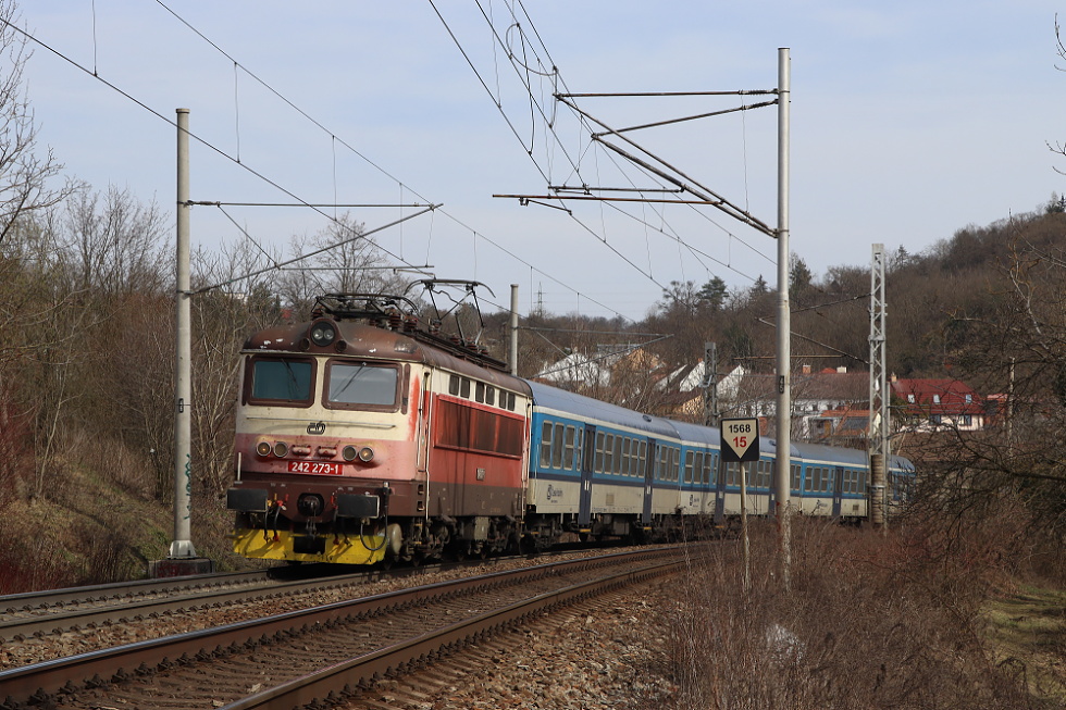 242 273-1