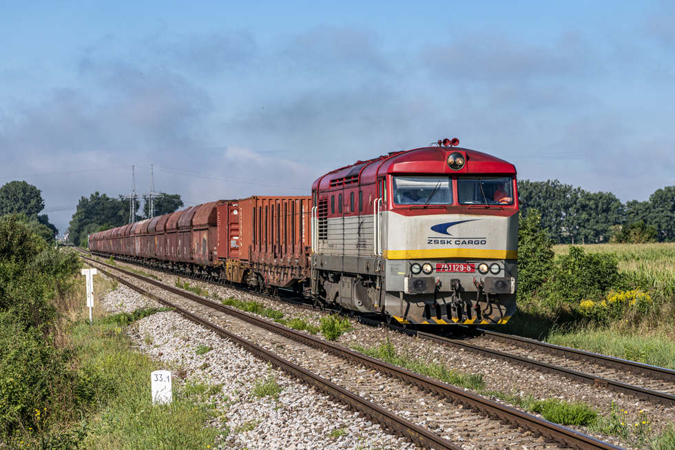 751 129-8