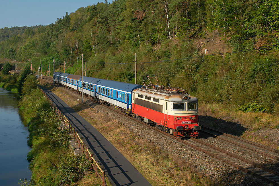 242 213-7