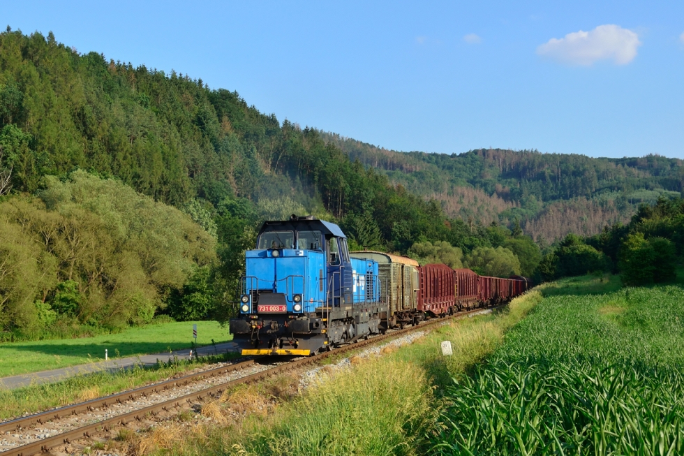 731 003-0