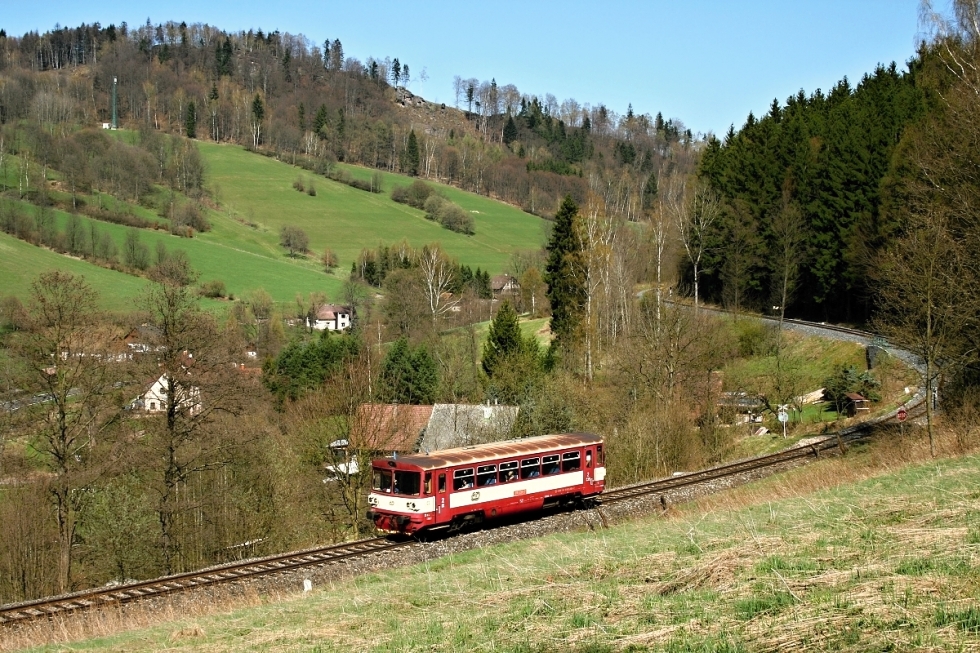 810 228-7
