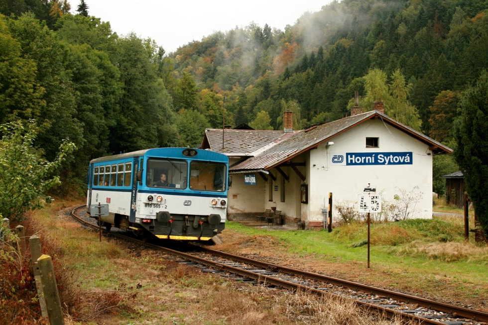 810 565-2