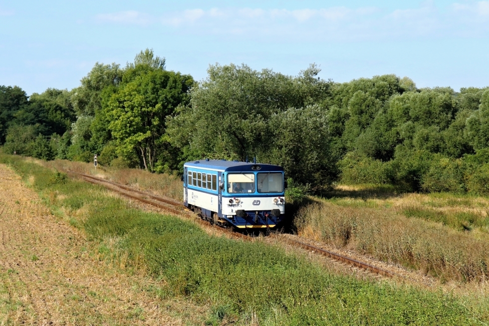 809 080-5