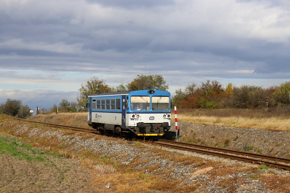 809 342-9