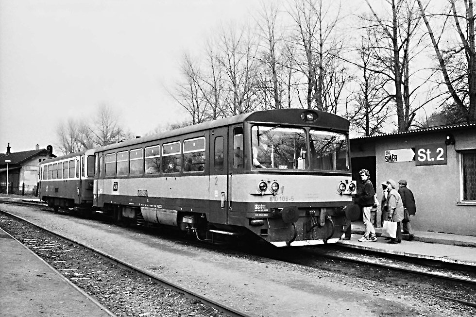 810 106-5