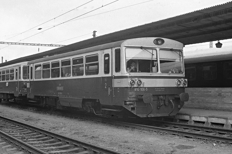 810 106-5