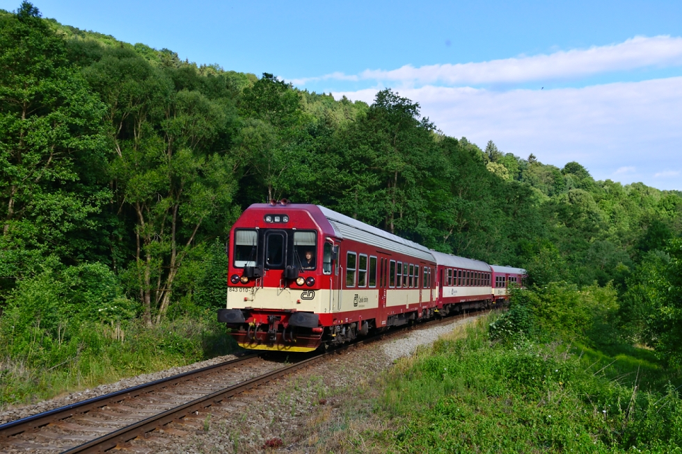 843 010-0