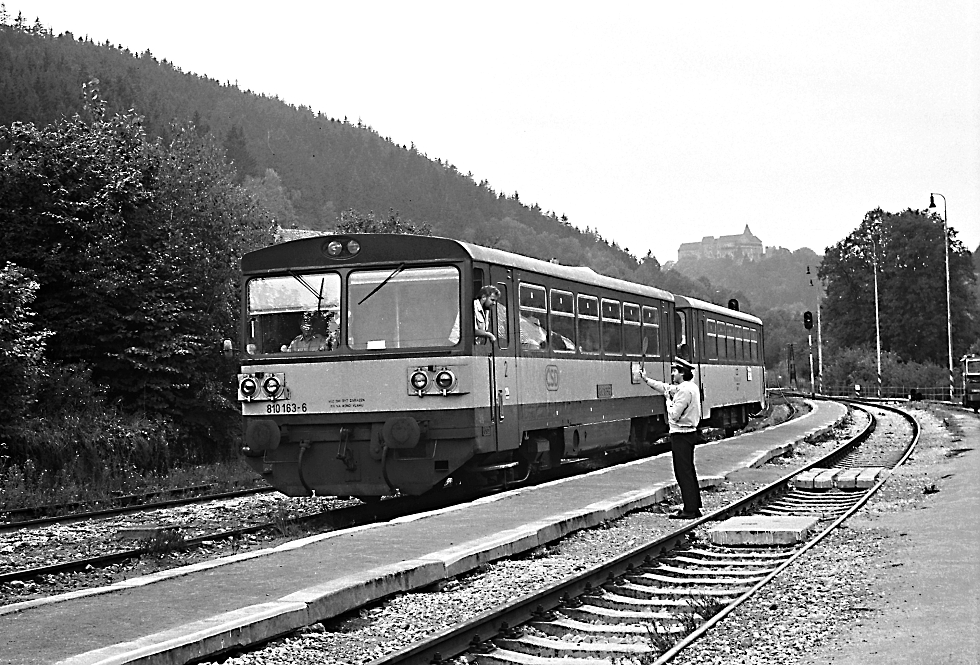 810 163-6