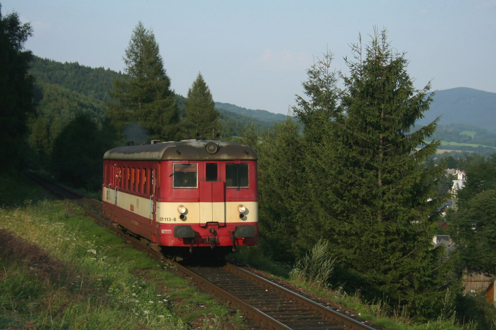 831 113-6