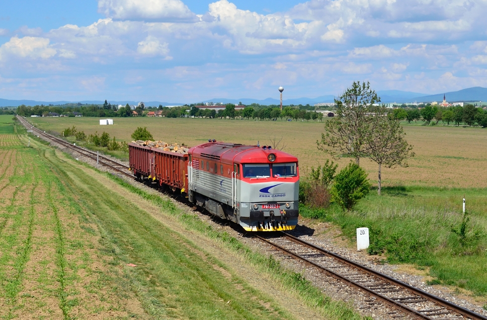 751 062-1