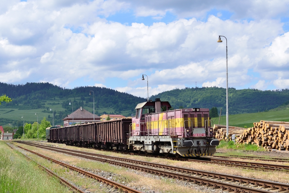 731 037-8