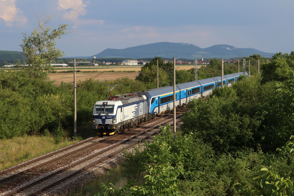 384 019-6