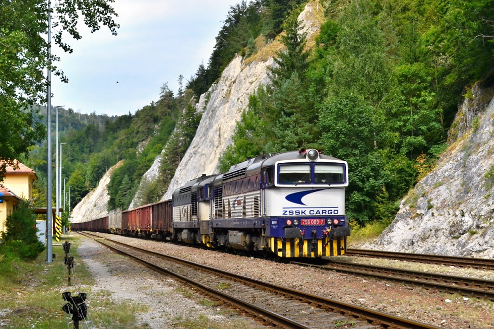 756 009-7