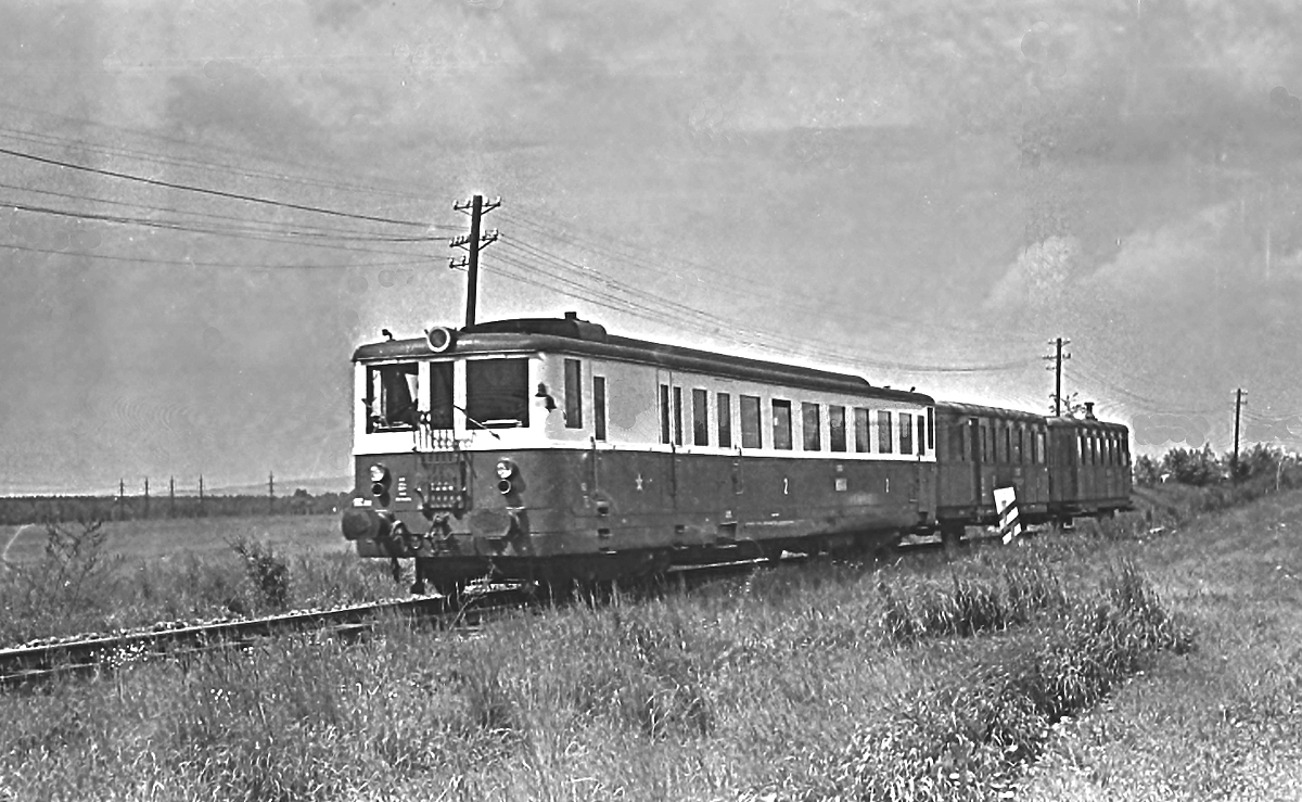 M262.0082
