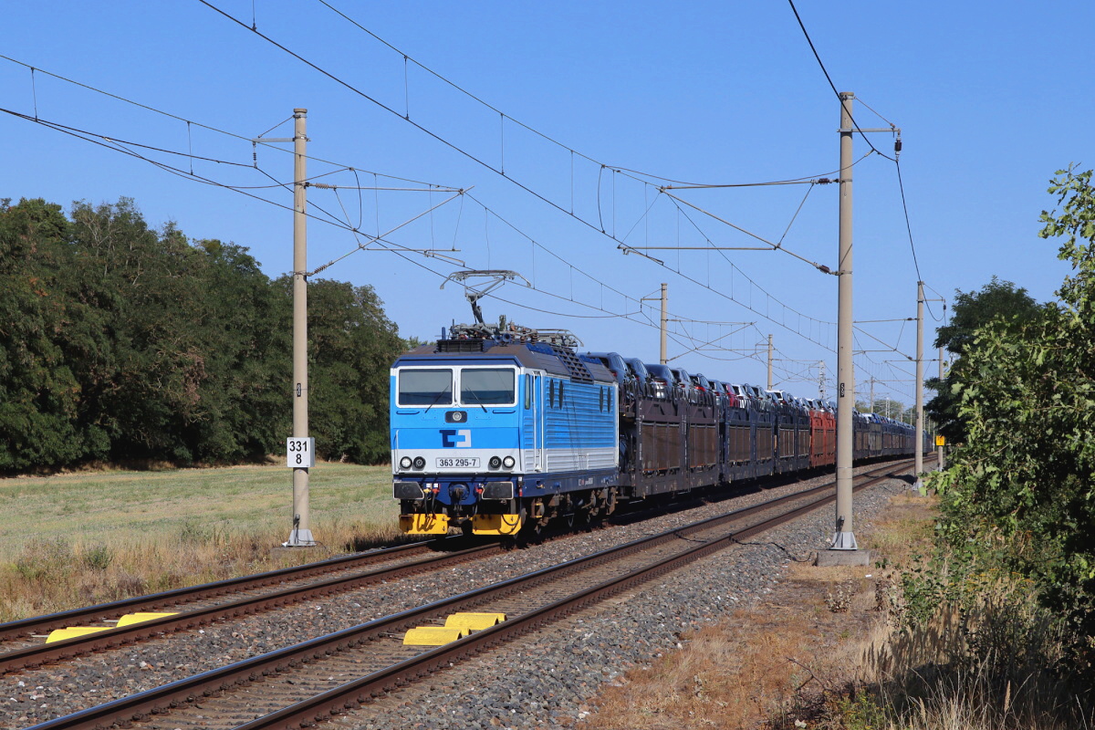 363 295-7