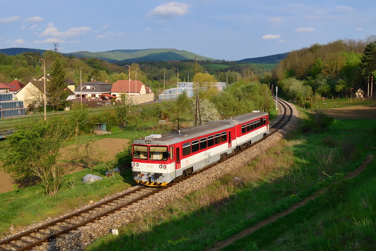 813 025-8